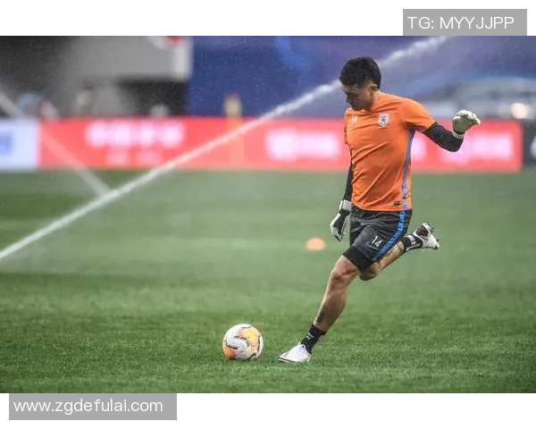 2017中超精彩对决贵州智诚迎战山东鲁能全场回顾与精彩瞬间分析